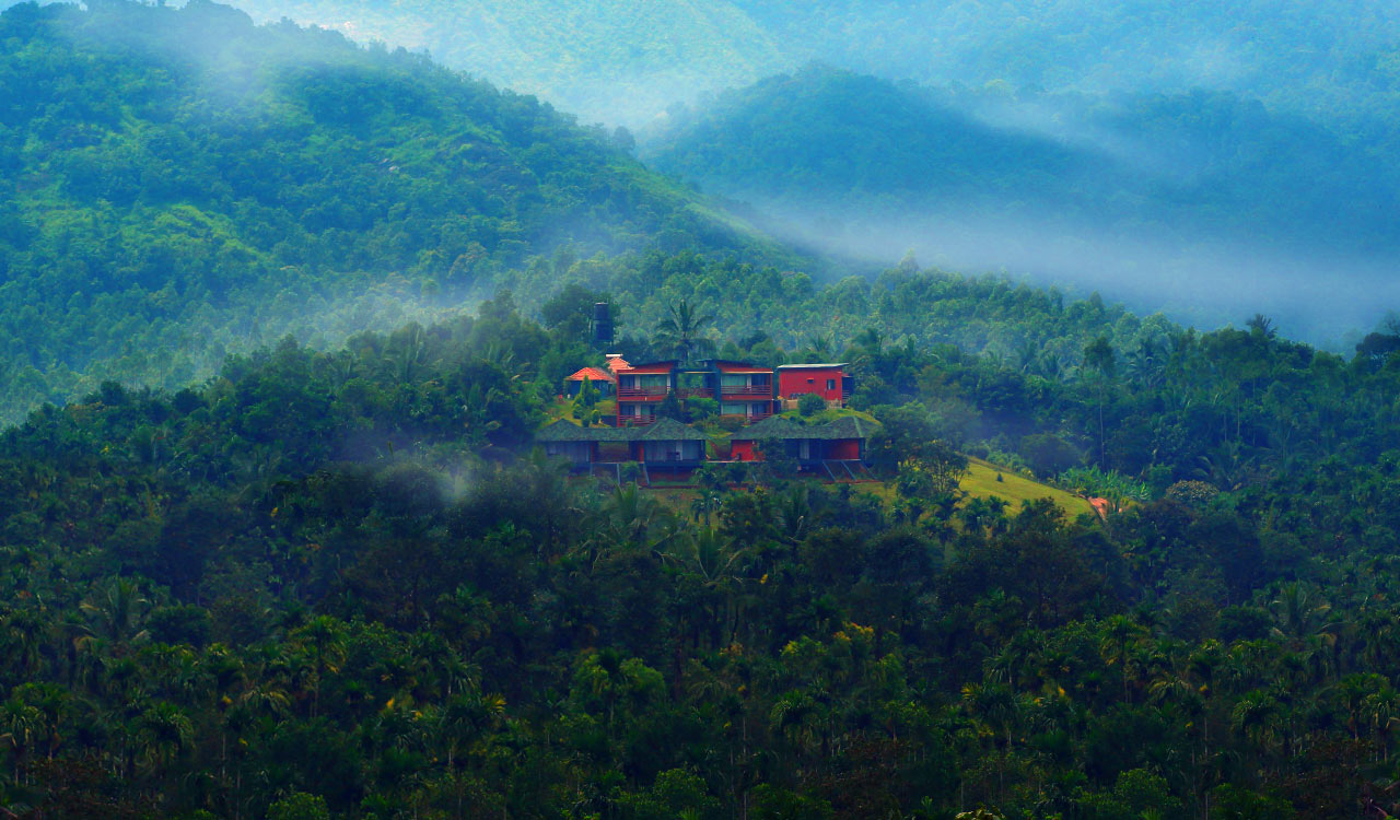 Monsoon at Petals